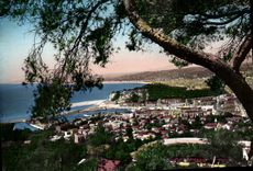 CPM Nice Vue Generale Entre les Pins