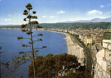 CPM Nice Vue Generale Rete Prise Du Chateau