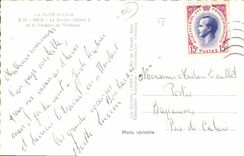 CPM Nice Le Jardin Albert