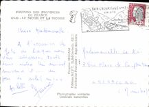 CPM Nice Le Poupons Des Provinces Le Nicois et la Nicoise Folklore