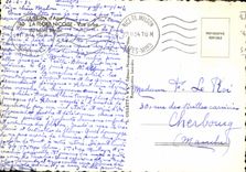 CPM Nice La Flore Nicoise Vue Prise du Mont Boron 