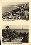 CPM Nice Jardin Albert 1er et le Casino Municlpal