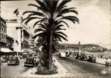 Paladar de la POSTAL de la VENDIMIA Niza del mediterráneo y de la caminata del inglés