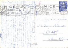 CPA Nice Les Jardins Albert 1er