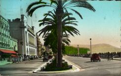 CPA Nice Promenade des Anglais