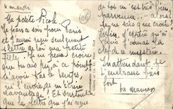 VINTAGE POSTCARD Nice Walk of the States Flaxes