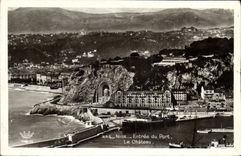 CPA Nice Entree Du Port Le Chateau