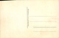 CPA Nice Jardins du Roi Albert 1er