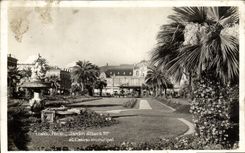 VINTAGE POSTCARD Nice Garden Albert 1st and Municipal Casino
