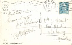 VINTAGE POSTCARD Nice Walk Of Angials