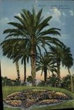 CPA Nice Jardin Albert 1er