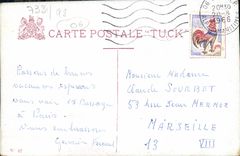 VINTAGE POSTCARD Nice Municipal Casino Garden Albert 1st