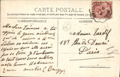 VINTAGE POSTCARD Thrown Nice Walk the Monument Of the Centenary