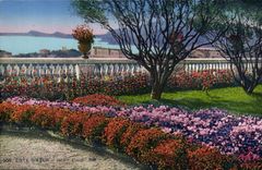 VINTAGE POSTCARD Nice flowered Garden