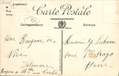 VINTAGE POSTCARD Nice Gardens Of King Albert 1st And the Pier Walk