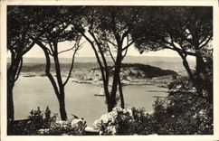 CPA Nice Vue entre les Pins 
