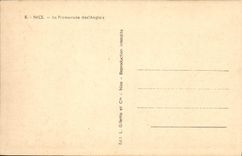 CPA Nice La Promenade des Anglais 