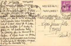 VINTAGE POSTCARD Nice the Gardens Albert 1st and the Avenue of Verdun