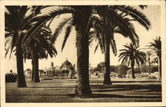 VINTAGE POSTCARD Nice the Pier seen through the Palm trees