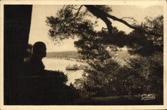 Detalles Aristique de la POSTAL de la VENDIMIA Niza