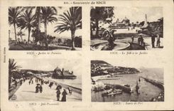 CPA Souvenir de Nice Jardin des palmiers La jetee Entree du port 