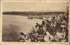 POSTAL de la VENDIMIA Niza vista de la vegetación del africano del castillo