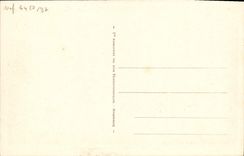 La POSTAL de la VENDIMIA de Niza en la frontera como el cuervo vuela