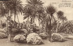 CPA Nice Jardin Albert 1er 