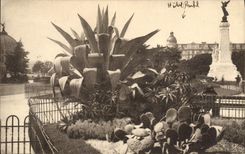 CPA Nice Jardin Albert 1er 