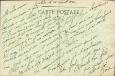 VINTAGE POSTCARD Nice Gardens King Albert 1st