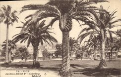 CPA Nice Jardins Albert 1er Palmiers 