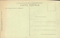 CPA Nice Jardins Albert 1er Palmiers 