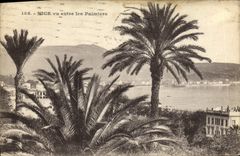 CPA Nice Vu entre les Palmiers 
