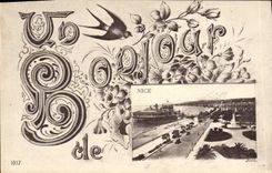 VINTAGE POSTCARD Considering Hello of Nice Swallow