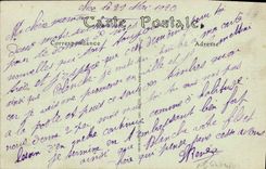 VINTAGE POSTCARD Considering Hello of Nice Swallow