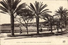 CPA Nice Le Quai des Etats Unis Vue prise des Ponchelles 