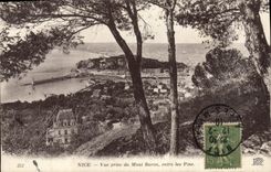 CPA Nice Vue prise du Mont Boron entre les Pins 