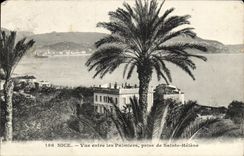 CPA Nice Vue entre les Palmiers prise de Sainte Helene 