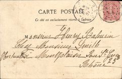 CPA Nice Promenade du Chateau Allee de Palmiers 