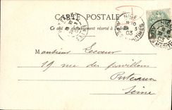 CPA Nice Les Nouveuax Jardins Palmiers 