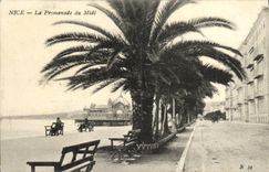 CPA Nice La Promenade du Midi