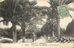 CPA Nice Promenade du Chateau Alle de Palmiers 