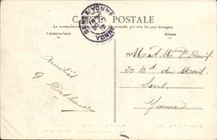 VINTAGE POSTCARD Nice Walk of the Castle Ale of Palm trees