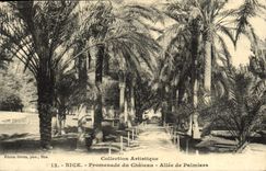 CPA Nice Promenade du Chateau Allee de Palmiers 