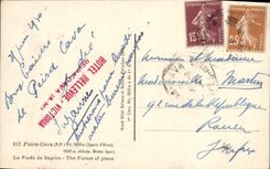 CPA Peira Cava La foret de sapins 