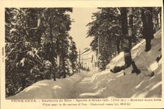 CPA Peira Cava Environs de Nice Sports d'Hiver Avenue sous bois 
