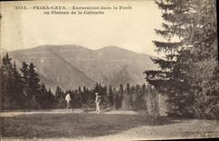 CPA Peira Cava Excursions dans la Foret au Plateau de la Calmette 
