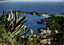 CPM Saint Jean Cap Ferrat Cote D'Azur