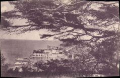 CPA Saint Jean Cap Ferrat Le port 