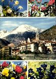 CPM Saint Martin Vesubie Vue Generale station estivale 